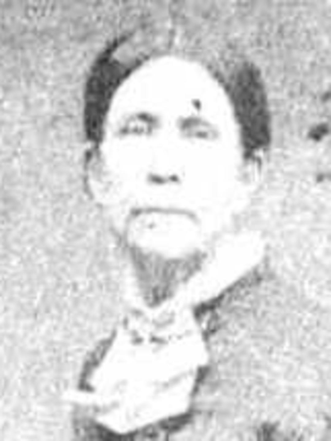 Elizabeth (Betsy) Ann Tobin (1830 - 1916) Profile